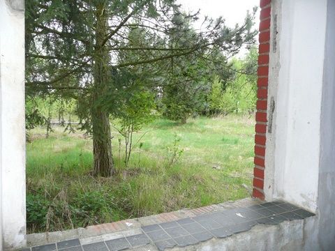 Foto 129